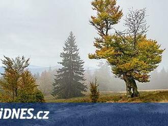 Divoká a opuštěná Šumava. Nádherný Bavorský les projdete za tři dny