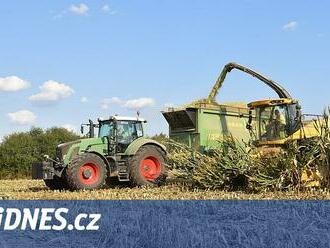 Bude čím krmit krávy? Farmáři se bojí nových protierozních opatření