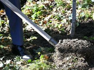 Botanická záhrada v Košiciach sa pýši novou Alejou osobností: Aha, kto zasadil prvý strom!