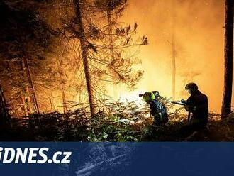 Při požáru Českého Švýcarska byly páteřní cesty jako prales, řekl hasič soudu