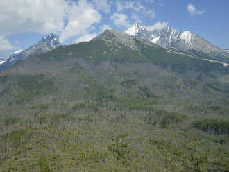 Pred 20 rokmi zasiahla Tatry veterná smršť, zmenila ich na nepoznanie