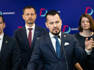 Demokrati hovoria o rodinkárstve u Soláka, prezídium to nepoprelo