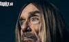 Na Pohodu 2025 príde krstný otec punku Iggy Pop