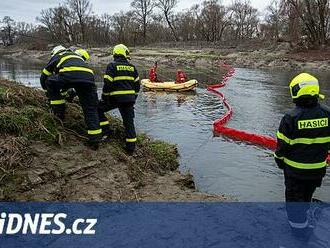 Stovky mrtvých ryb na hladině Odry v Ostravě, zasahují chemici i kriminálka