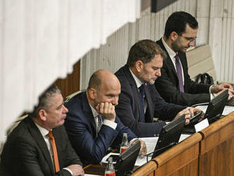 Ušité na mieru jednej spoločnosti? Hnutie Slovensko sa pre nákup rukavíc na MO a MV obráti na ÚVO