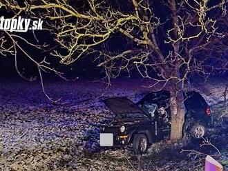 Tragická noc! FOTO Matka   s dieťaťom   v aute narazila do stromu: Žena nehodu neprežila