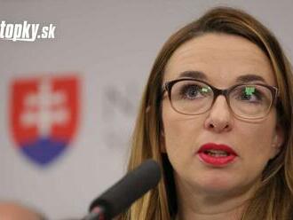 Mnohé zákony Rezort práce urobil dobre, no veľa sociálnych tém sa nedotiahlo, zhodnotila Simona Petrík