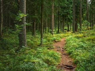 Česká vláda chce nový národný park: Starostovia nesúhlasia, kde vidia problém?