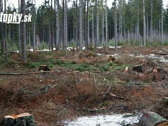 FOTO, z ktorých zaplačete! Takto nám ničia naše národné bohatstvo: TANAP sa opäť mení na rúbanisko