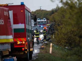 Vinníkovi nehody, pri ktorej neďaleko Nitry zomrelo 12 ľudí, potvrdili osem rokov väzenia