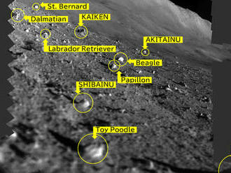 Japonský lunárny modul SLIM je opäť v spánkovom režime