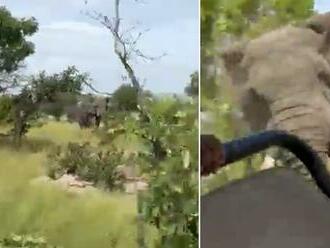 Brutálny útok slona zachytený na VIDEU: Starenka na výlete   ho neprežila