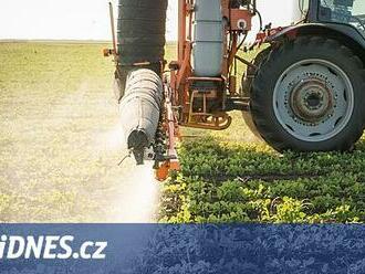 Nizozemští vědci přišli s ekologickým pesticidem. Vábí hmyz na lepkavé kuličky