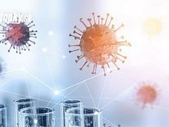Slovensko nepodporí aktuálnu verziu novej pandemickej zmluvy
