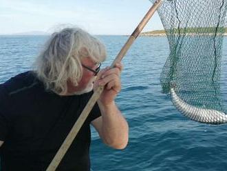 V Chorvátsku pláva smrtiaca ryba: Jed má stokrát silnejší ako KYANID! Boja sa najhoršieho