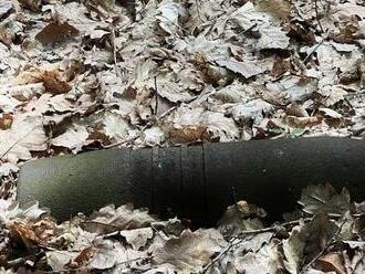 Nebezpečný nález vo vojenskom obvode Záhorie: Muž namiesto húb natrafil na kusy munície!