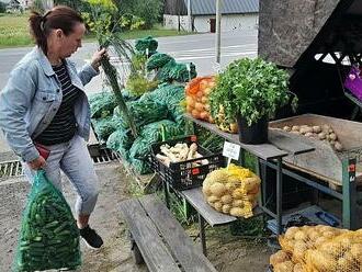 Češi jezdí pro nakládačky do Polska. Ceny okurek se liší podle velikosti