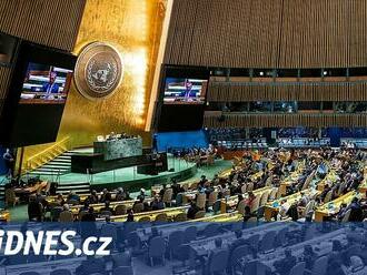Rada bezpečnosti OSN schválila rezoluci o příměří, Rusko se zdrželo hlasování