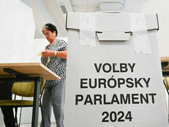 Eurovoľby 2024: PS vyhralo, zrejme vysalo SaS. Smer by bol silnejší, ak by Hlas nevznikol, myslí si politológ