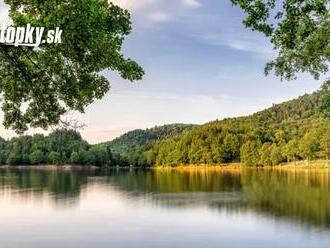 Najzaujímavejšie stromy Slovenska: FOTO Pozri sa na tú krásu, ktorú máme doma