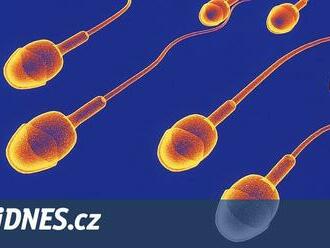 V Austrálii nařídili čistku vzorků ve spermobankách, hrozí nebezpečí incestu