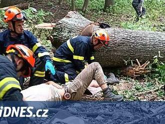 Muže na Kroměřížsku zavalil strom, hasiči museli zdolávat těžký terén