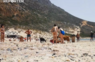 Kozy na pláži prekvapili dovolenkárov. Niektorí ľudia takéto niečo ešte nevideli