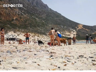 Kozy na pláži prekvapili dovolenkárov. Niektorí ľudia takéto niečo ešte nevideli