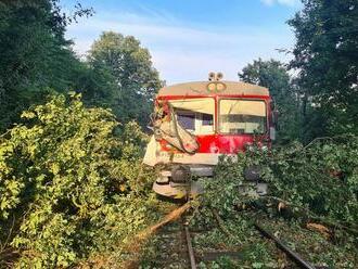 Počas silnej búrky spadol na vlak strom, zdemoloval kabínu rušňovodiča