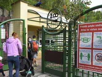 Košická zoo pripravila letné prímestské tábory: Deti čaká takýto bohatý program!