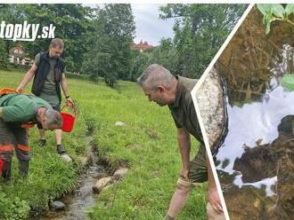 Rarita v Tatrách! FOTO Ochranári neverili vlastným očiam: Jej príčina je nateraz záhadou