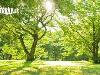 V Stropkove sprístupnili park venovaný Adolfovi Weinholdovi