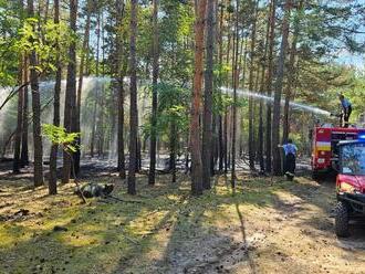 Pri Senici pre nedbalosť horel les na ploche 63 árov! Perfektná práca hasičov: FOTO zo zásahu