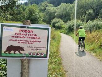 POPLACH neďaleko Bieleho Potoka: Cyklistka čelila medveďovi! Zásahový tím v pohotovosti