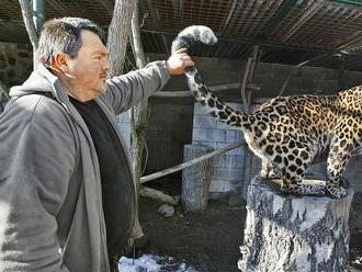 Jozefa   zabil milovaný leopard: Čo bude so zvieratami v zoo? Prekvapivé rozhodnutie!