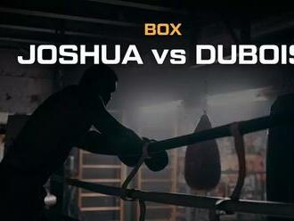 Box Joshua vs. Dubois – dátum, štatistiky, karta, kurzy a live prenos