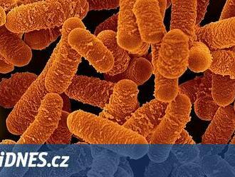 Antibiotika už nefungují. Investoři varují vlády před šířením superbakterií