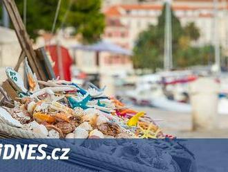 Velbloudí kůže, cibetková káva nebo korály. Pozor na suvenýry ze zahraničí