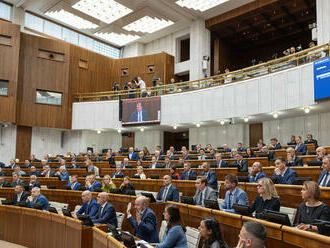 Prieskum SANEP: Smer a Hlas by si museli hľadať iného partnera do vlády. Preferencie SNS však narástli