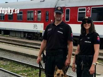 Polícia sa tento týždeň zameria na prevenciu na železniciach