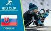 IBU Cup Biatlon Osrblie 2025 – program, výsledky, vstupenky, live prenos