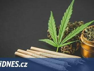 První lehké drogy míří na pulty, kratom a konopí koupí lidé od léta legálně